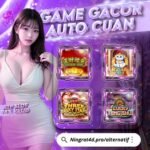 Panduan Lengkap Menggunakan Putaran Gratis di Slot Online